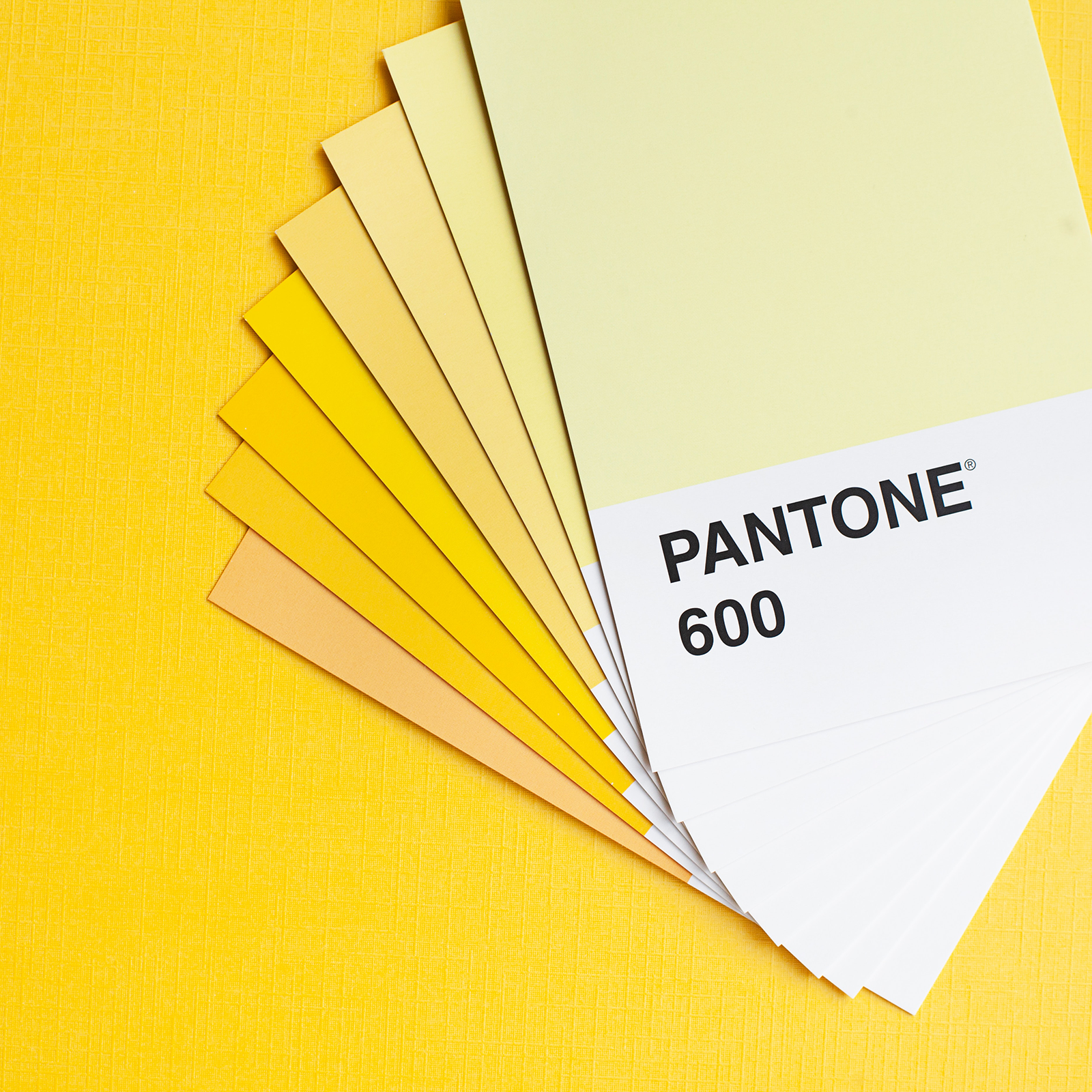 Pantone chooses Modgy for its 2015 International Housewares Show display!