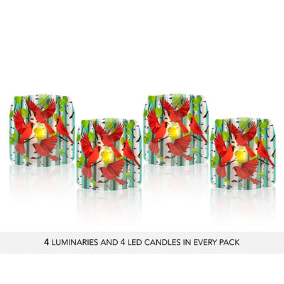 Cardy Party Luminaries - 4 per pack