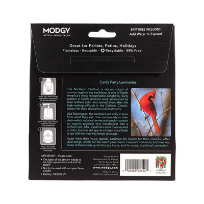 Cardy Party Luminaries - 4 per pack