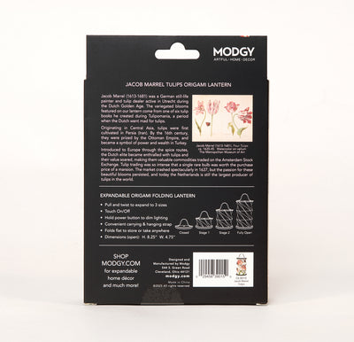 Modgy Jacob Marrell Tulips Origami Lantern