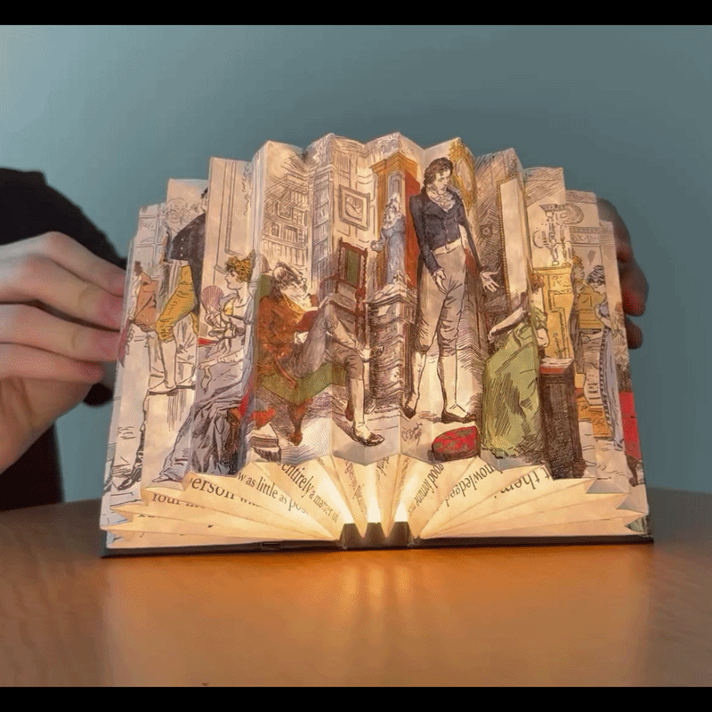 Pride and Prejudice Light Book
