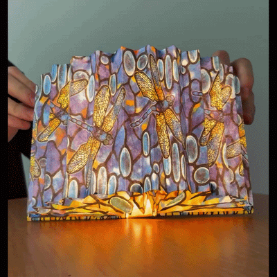 Louis C. Tiffany Dragonfly Light Book