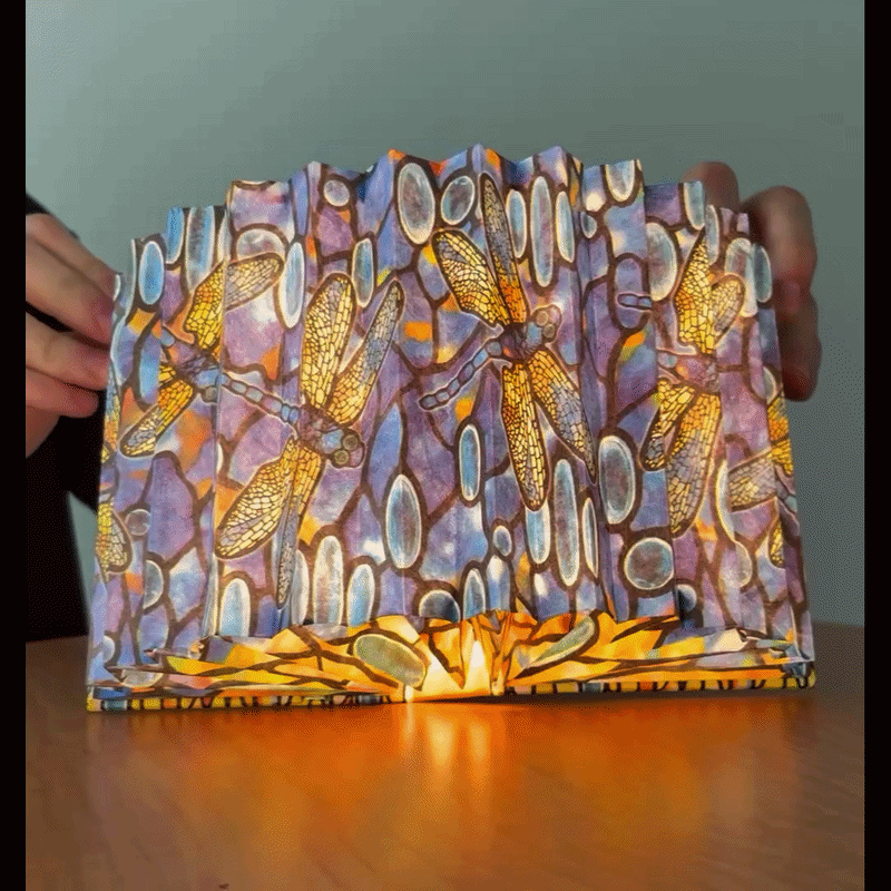 Louis C. Tiffany Dragonfly Light Book