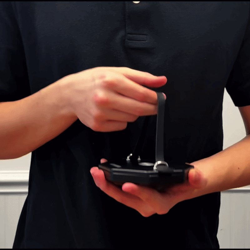 Modgy Jacob Marrel Tulips Origami Lantern - Modgy