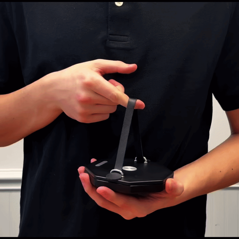 Modgy Frank Lloyd Wright March Balloons Origami Lantern