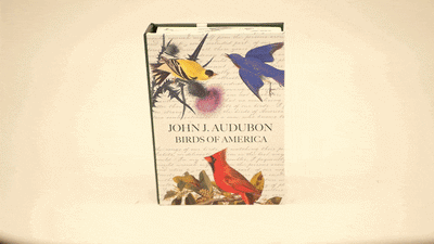 John J. Audubon Birds of America