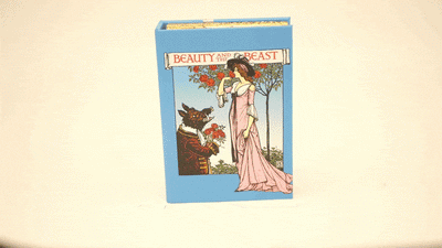 Beauty & The Beast Light Book