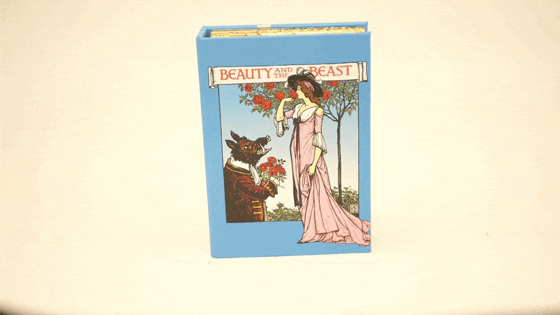 Beauty & The Beast Light Book