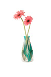 Seedo Vase - Modgy