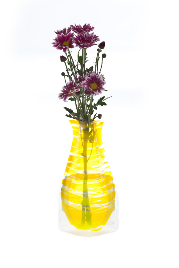 66119_bandido_yellow_flowers_-