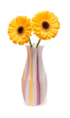 Karnival Vase - Modgy