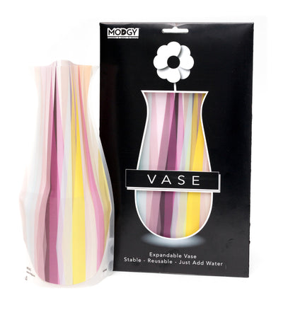 Karnival Vase - Modgy