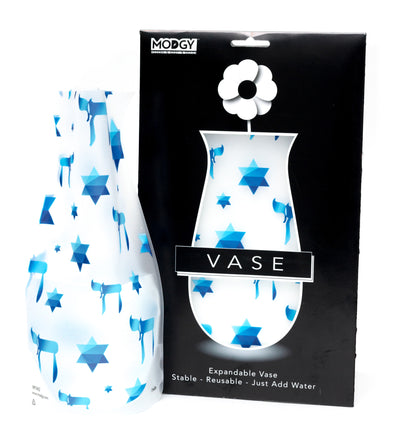 ChaiLife Vase - Modgy