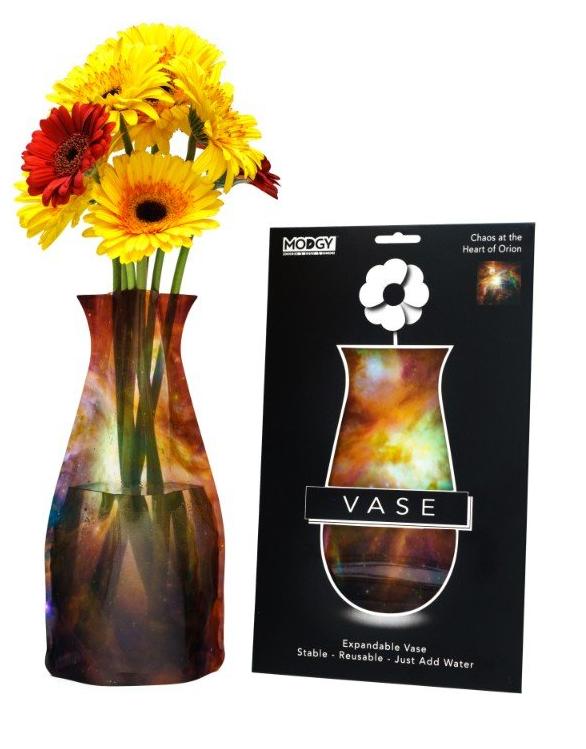 Chaos at the Heart of Orion (NASA HUBBLE) Vase - Modgy