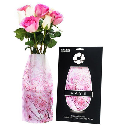Hana (Cherry Blossom)  Vase - Modgy