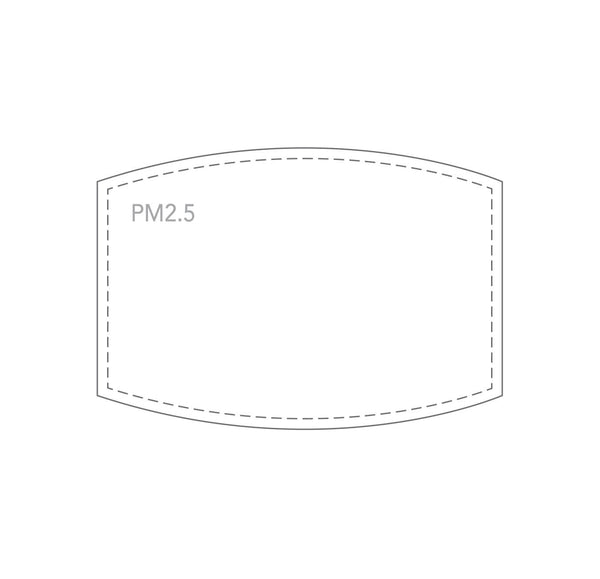PM2.5 Replacement Filters (10 pack) - Modgy