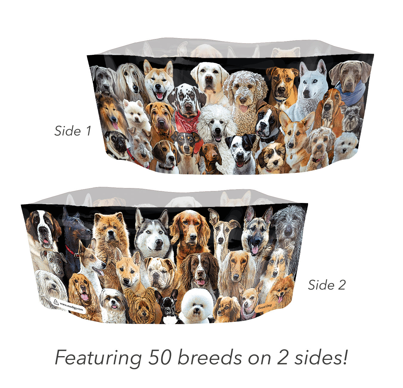 Modgy dog bowls online