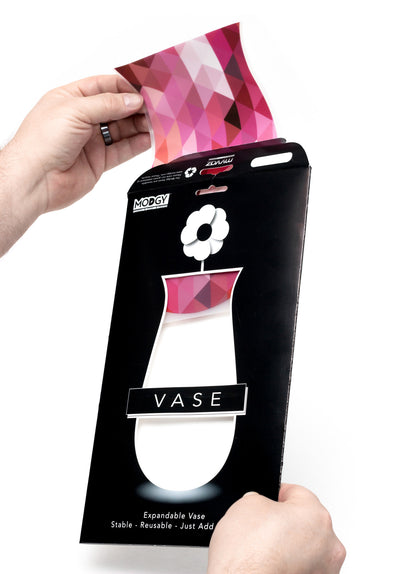 Seedo Vase - Modgy