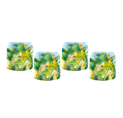 John J. Audubon Carolina Parakeet Luminaries