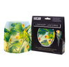 John J. Audubon Carolina Parakeet Luminaries- 4 Per Pack