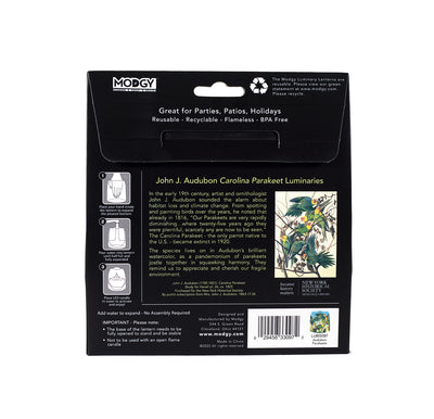 John J. Audubon Carolina Parakeet Luminaries