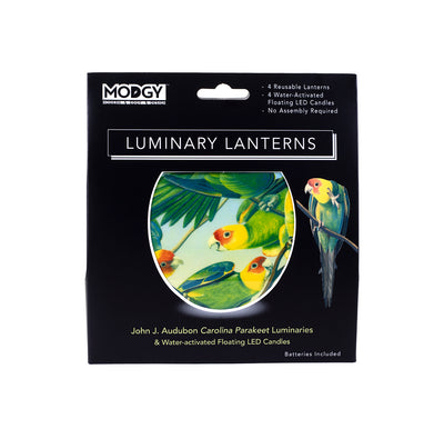 John J. Audubon Carolina Parakeet Luminaries